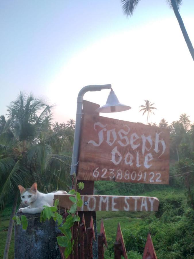 Joseph Dale Homestay バルカラ エクステリア 写真