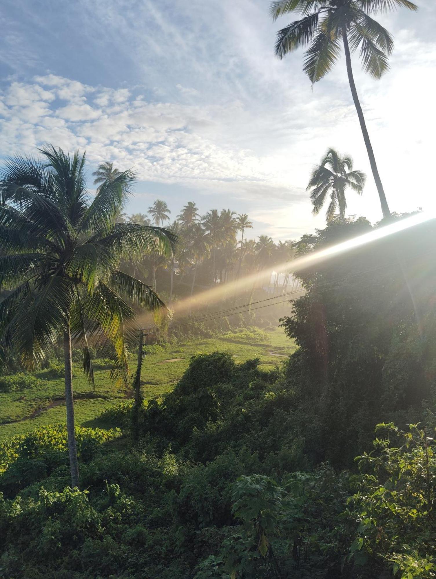 Joseph Dale Homestay バルカラ エクステリア 写真